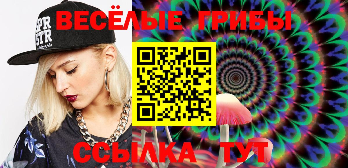 Ртищево  Галлюциногенные грибы Psilocybine cubensis  Псилоцибиновые грибы MAGIC MUSHROOMS  Вход с VPN 